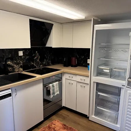 3-room Penthouse In The Center Of Engelburg Apartment
