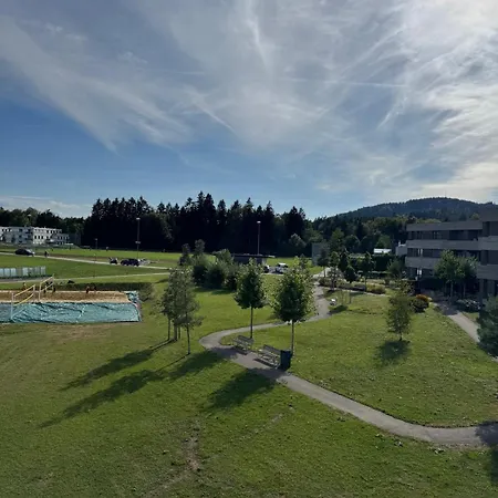 3-room Penthouse In The Center Of Engelburg Apartment *